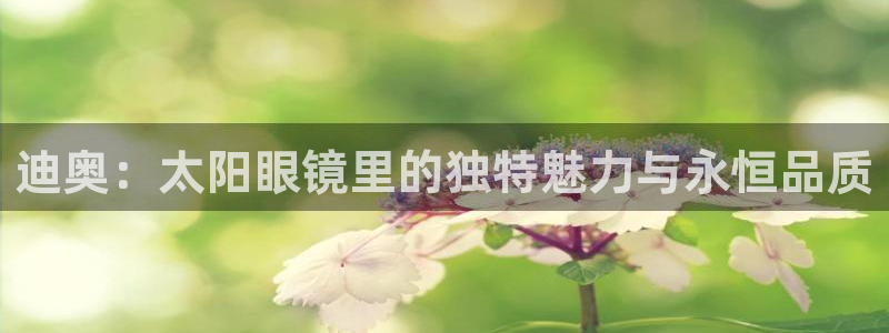 卧龙娱乐左7O667