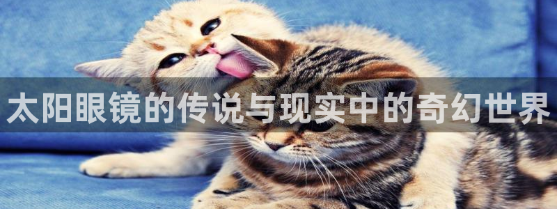 卧龙娱乐网址多少