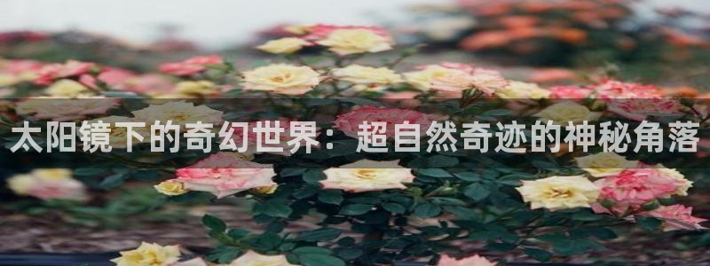 卧龙娱乐怎么样啊