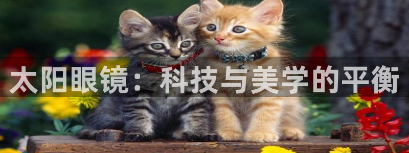 卧龙娱乐测速
