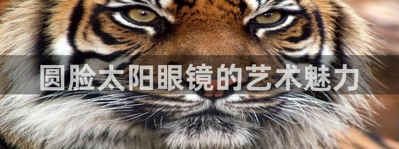 卧龙娱乐集团投注