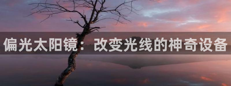 卧龙娱乐老板是谁啊