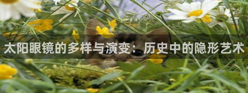 PT娱乐卧龙招商60447