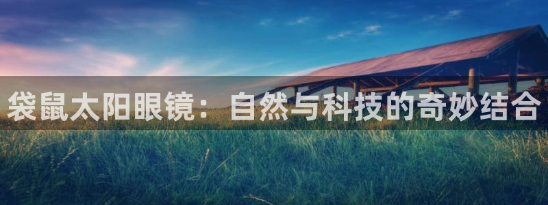 卧龙娱乐总代