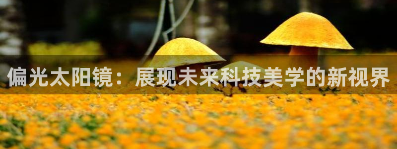 卧龙牧原娱乐设施