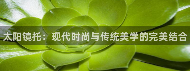 卧龙娱乐招商