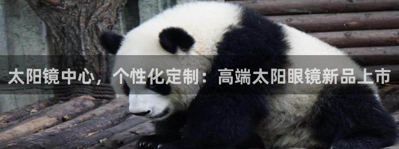 卧龙娱乐在线直播平台