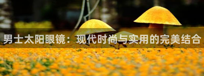 卧龙娱乐挂机平台官网