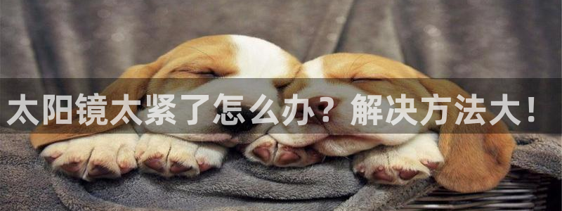 卧龙居餐饮娱乐