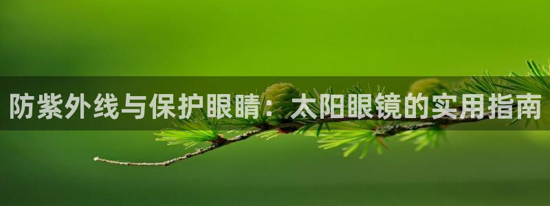 卧龙区夜晚娱乐