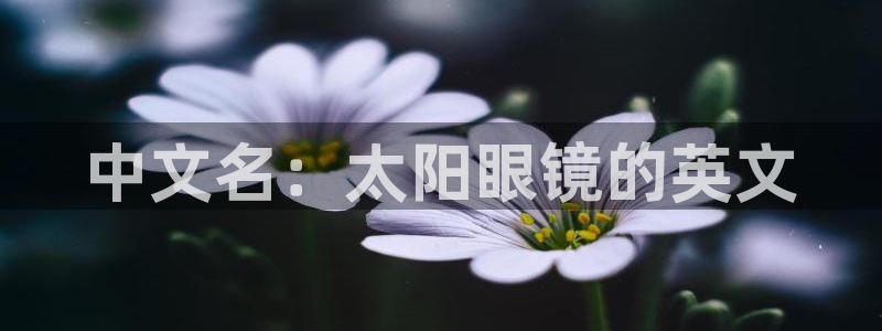 卧龙2神机娱乐攻略