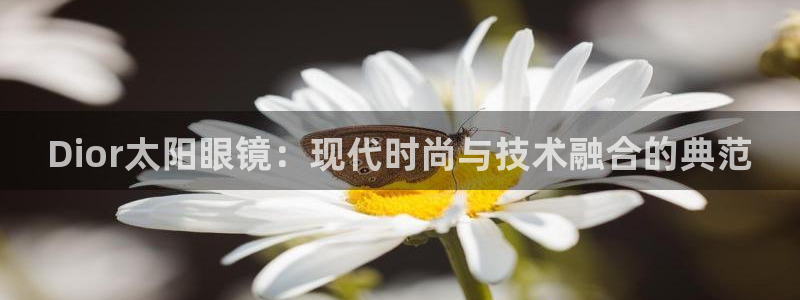 星鸿娱乐 0 47卧龙