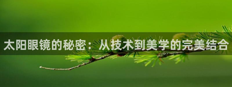 卧龙天尊国际娱乐会所