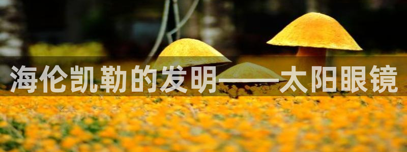 卧龙台球娱乐会所电话