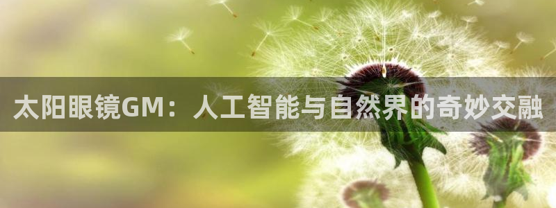 创亿娱乐d卧龙313322