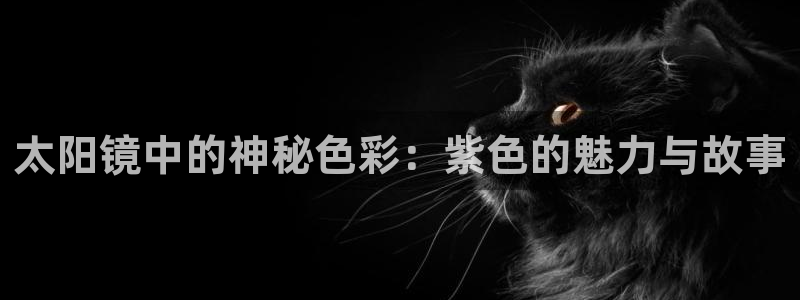 卧龙区社交娱乐