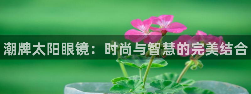 卧龙棋牌娱乐官网首页