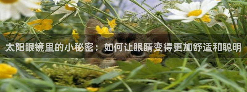 卧龙娱乐彩票官网