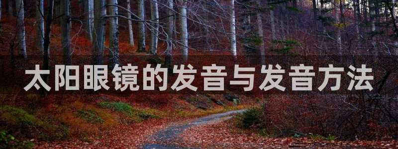 卧龙区凤凰娱乐