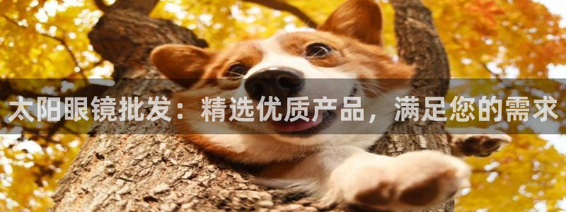 卧龙娱乐app彩票