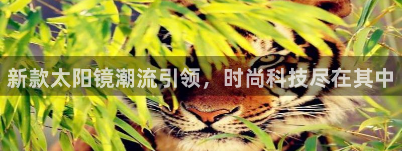 卧龙棋牌娱乐官网