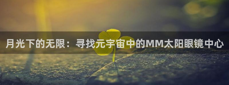 卧龙2神机娱乐