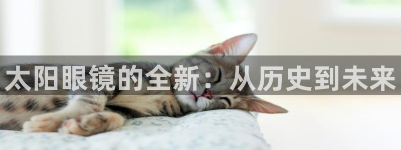 卧龙娱乐山西