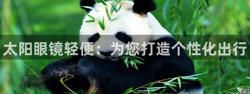 卧龙娱乐找382223