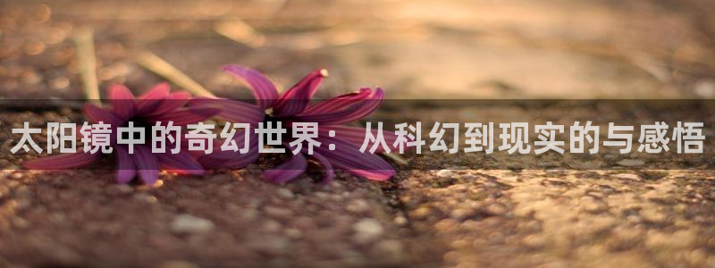 卧龙娱乐挂机