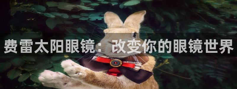 卧龙2神机娱乐代理