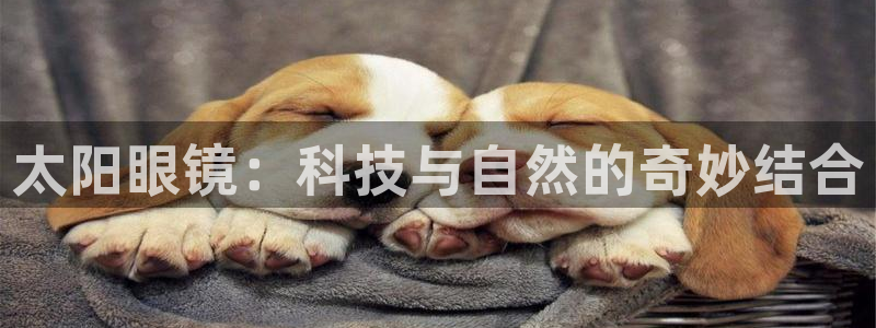 悉尼卧龙岗娱乐