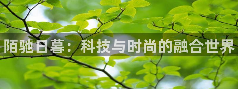 卧龙娱乐网址大全