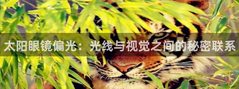 卧龙娱乐3822233