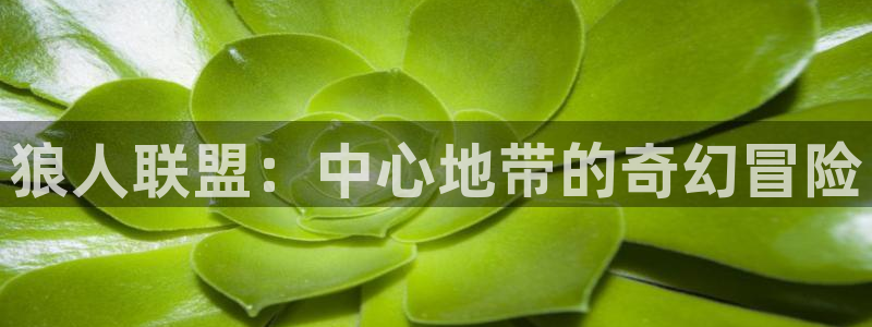 卧龙娱乐彩票