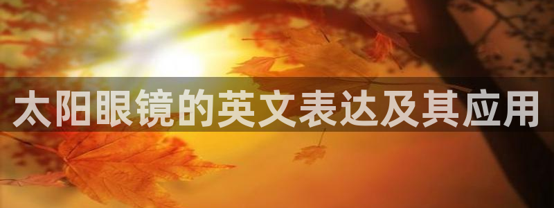 卧龙娱乐app下载