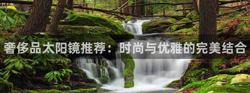 卧龙娱乐招商主管薪资