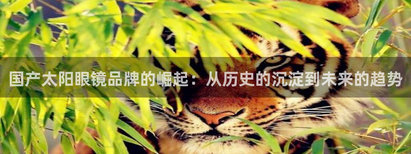 卧龙凤雏直播娱乐
