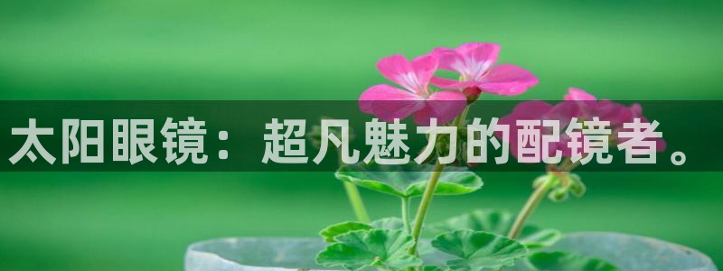 卧龙凤雏娱乐资讯