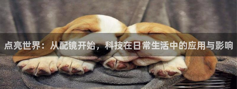 卧龙看娱乐