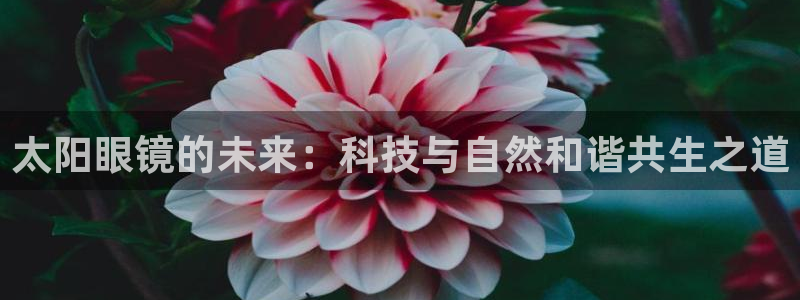 卧龙娱乐382223