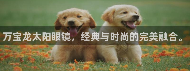 卧龙娱乐违法吗