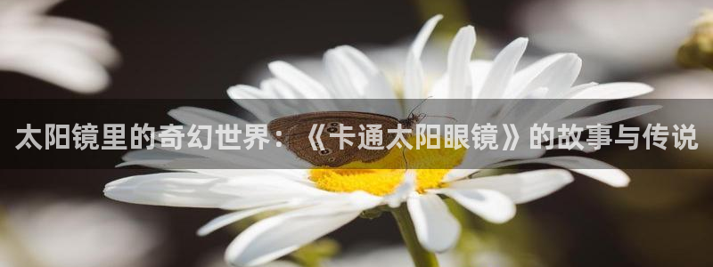 卧龙2神机娱乐