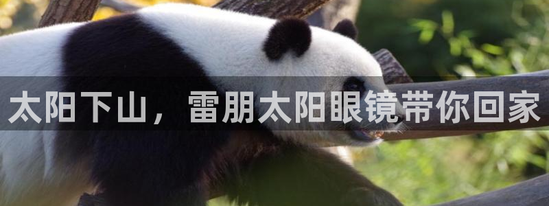 卧龙娱乐是什么