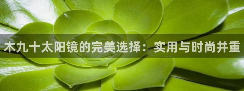 hr娱乐 卧龙主管60447