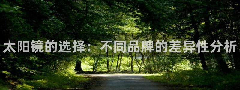 卧龙区社交娱乐