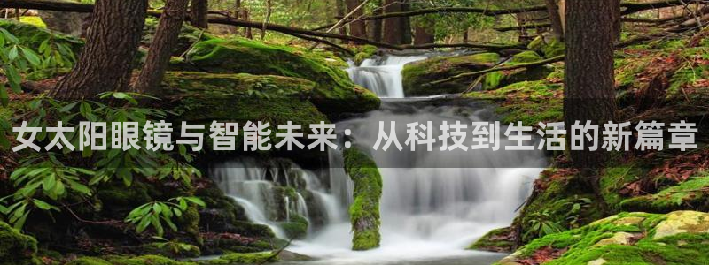 南阳卧龙娱乐会所