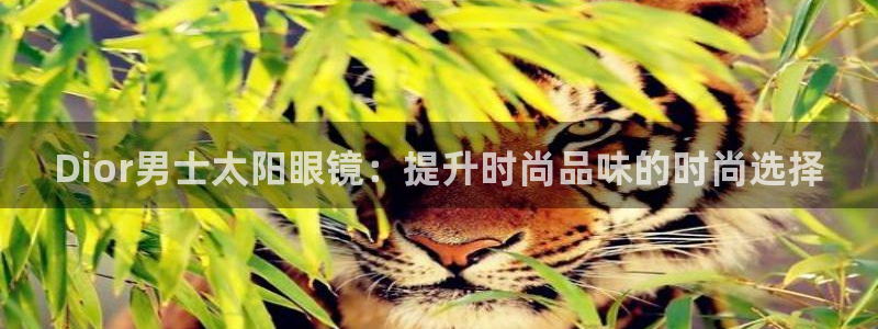 卧龙凤雏娱乐资讯