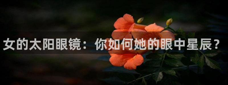 卧龙娱乐优七九九47