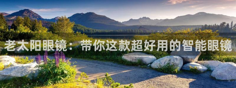 卧龙娱乐挂机平台官网