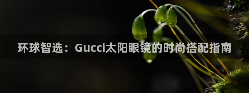 sky娱乐 扣卧龙60447